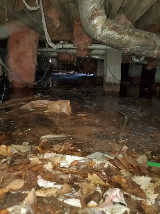 Crawl space flood assessment for Leak Detection & Repair in Fairlawn
